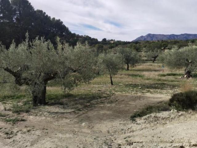 Terreno en venta Relleu