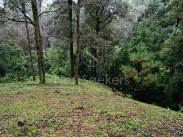 Terreno en venta rodeado de bosque