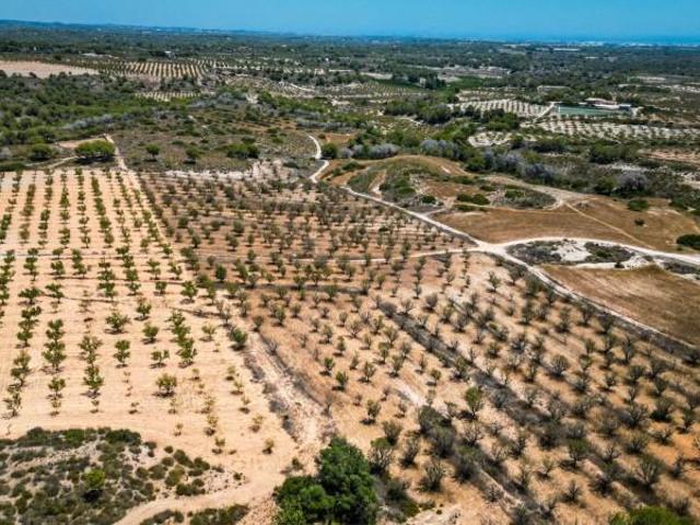 Terreno en venta Sucina