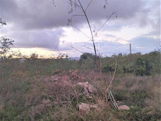 Terreno en venta Sagunto