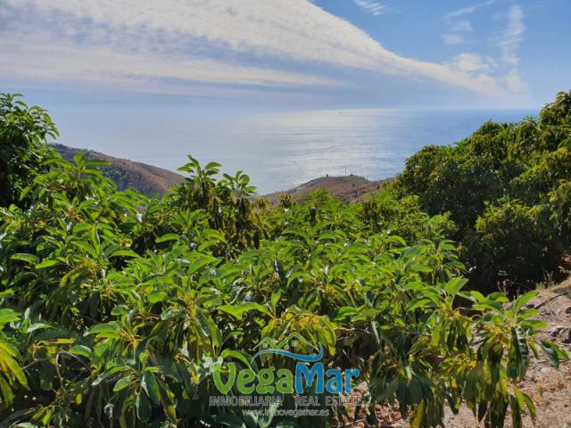 Terreno en venta Salobreña