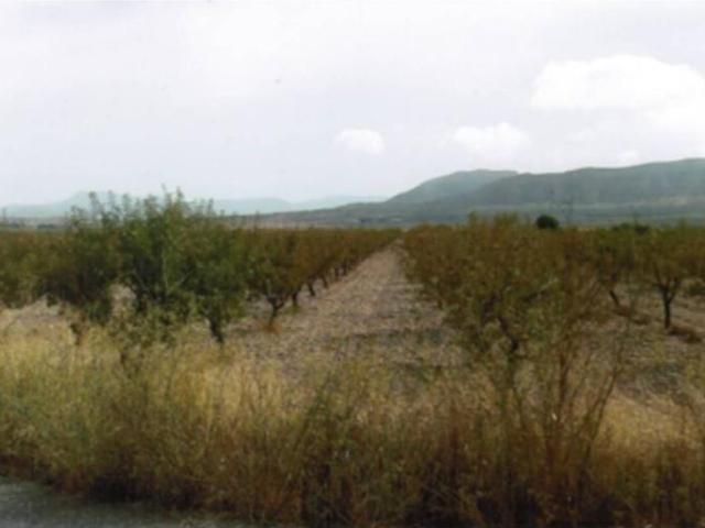 Terreno en venta Salinas