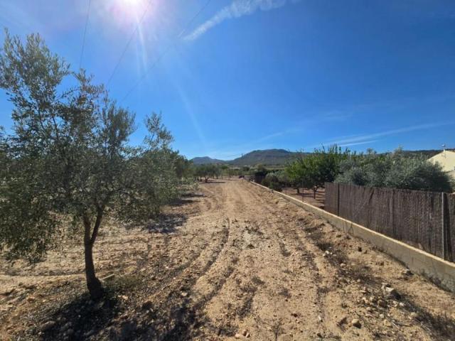 Terreno en venta Salinas