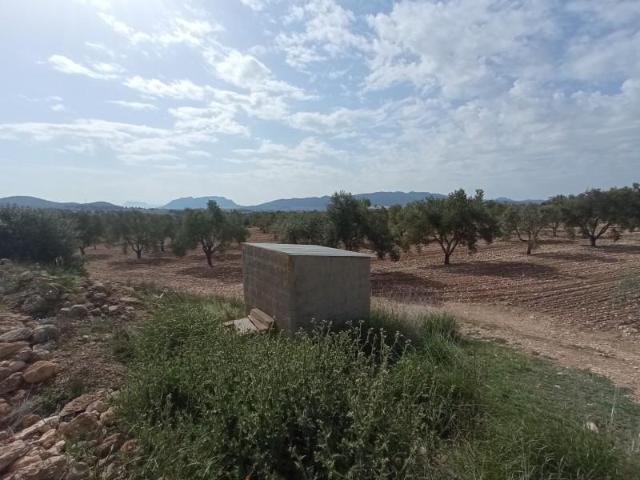 Terreno en venta Salinas