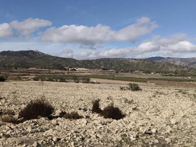 Terreno en venta Salinas