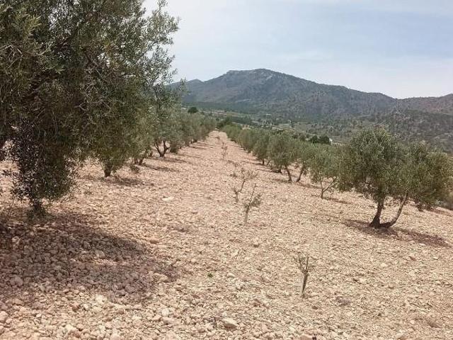 Terreno en venta Salinas