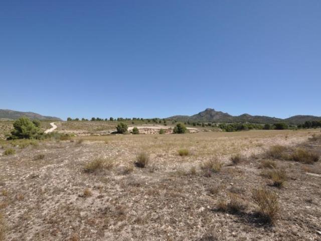 Terreno en venta Salinas