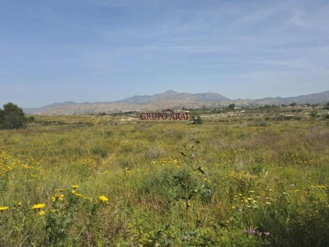 Terreno en venta San Vicente del Raspeig