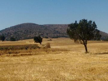 TERRENO EN VENTA SAN ANTONIO MONTECILLO TLAXCALA, CALPULALPAN SUP. 126.57 HAS