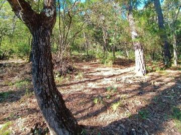 Terreno en Venta, San Cristóbal de las Casas, Chiapas
