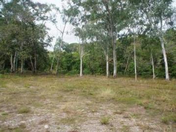 terreno en venta san felix chiriqui