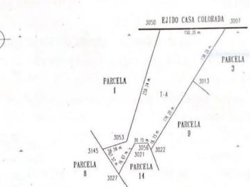 Terreno en Venta San Francisco Del Oro Chihuahua
