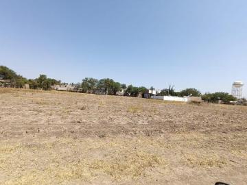TERRENO EN VENTA SAN ISIDRO DE LOS LOPEZ LEON GTO
