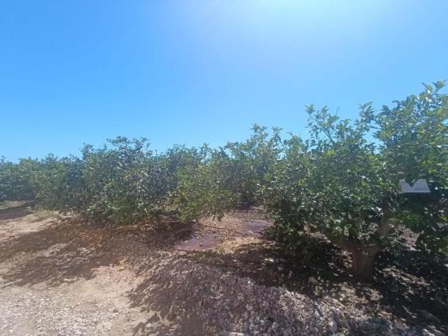 Terreno en venta San Javier