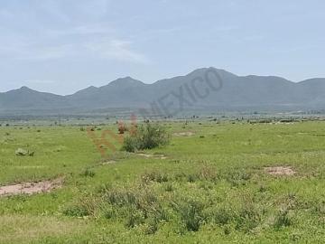 Terreno en venta, San Juan de la Vaquería