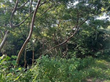 Terreno en venta San Pancho Nayarit | 1,179 m² junto a Campo de Polo