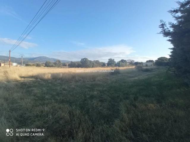 Terreno en venta San Román de los Montes
