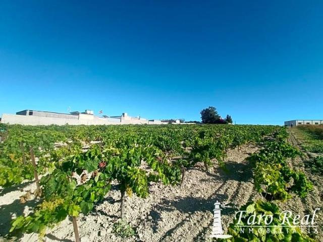 Terreno en venta Sanlúcar de Barrameda