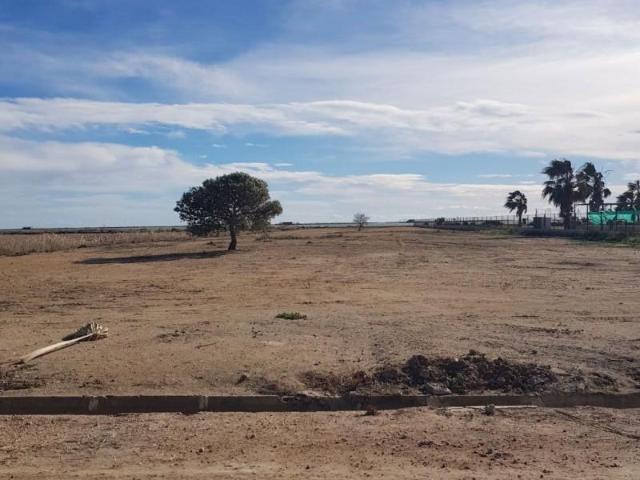 Terreno en venta Sant Carles de la Ràpita
