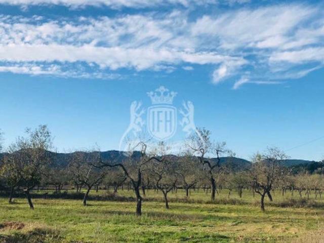 Terreno en venta Sant Antoni de Portmany