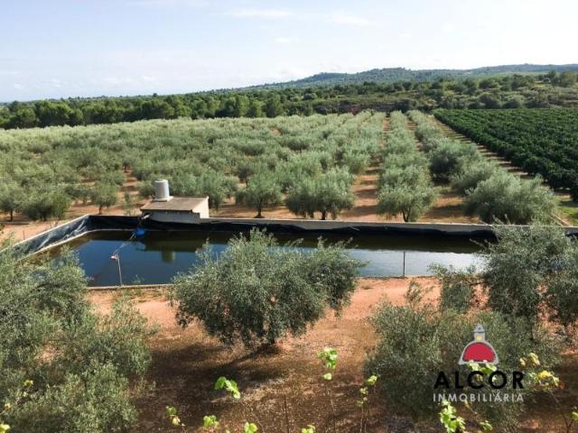 Terreno en venta Sant Jordi