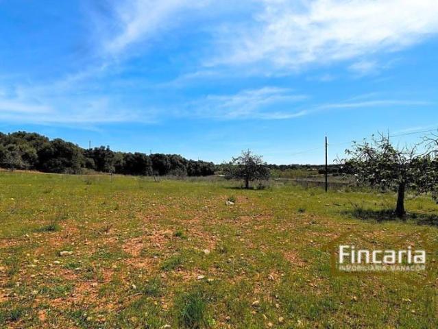 Terreno en venta Sant Llorenç des Cardassar