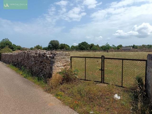 Terreno en venta Santa Margalida
