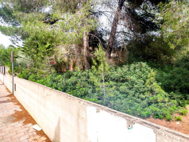 Terreno en venta Santa Margalida