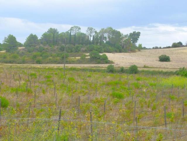 Terreno en venta Santa Margalida
