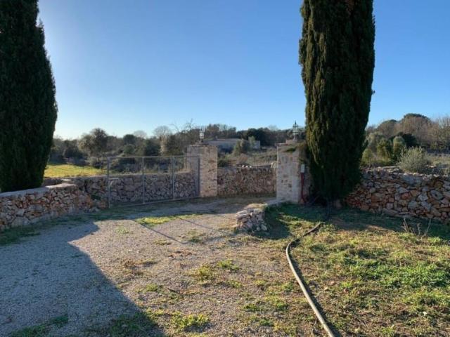 Terreno en venta Santa Margalida