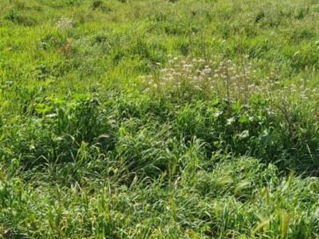 Terreno en venta Santa Maria de Palautordera