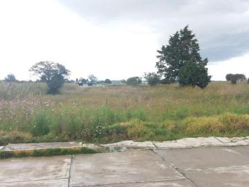 Terreno en venta Santa Maria Texcalac, Apizaco, Tlaxcala