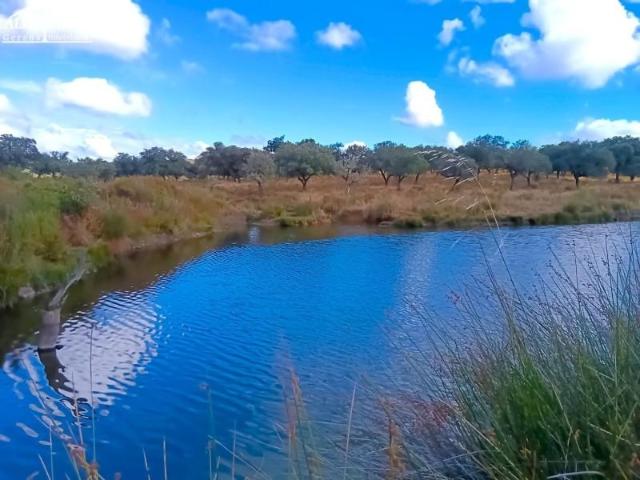 Terreno en venta Santa Olalla del Cala