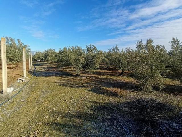 Terreno en venta Santa Fe