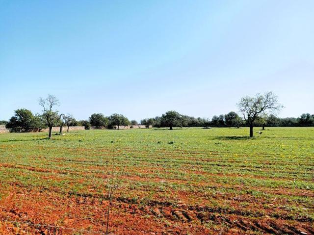 Terreno en venta Santanyí
