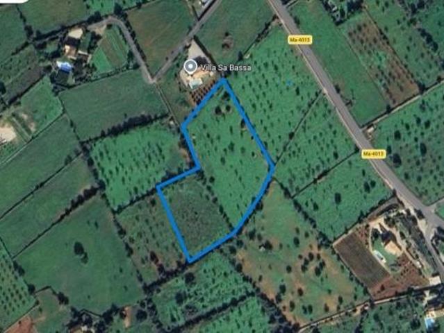 Terreno en venta Santanyí
