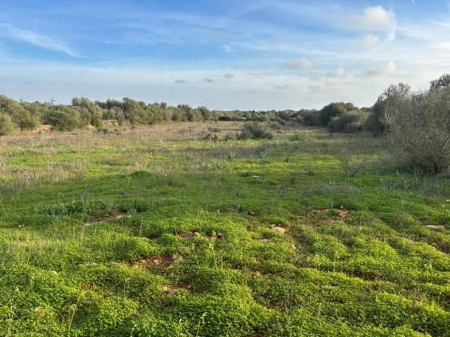 Terreno en venta Santanyí