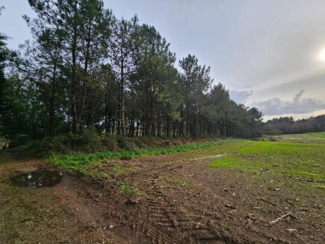 Terreno en venta Santiago de Compostela