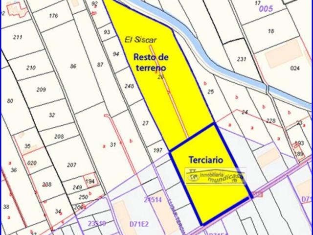 Terreno en venta Santomera