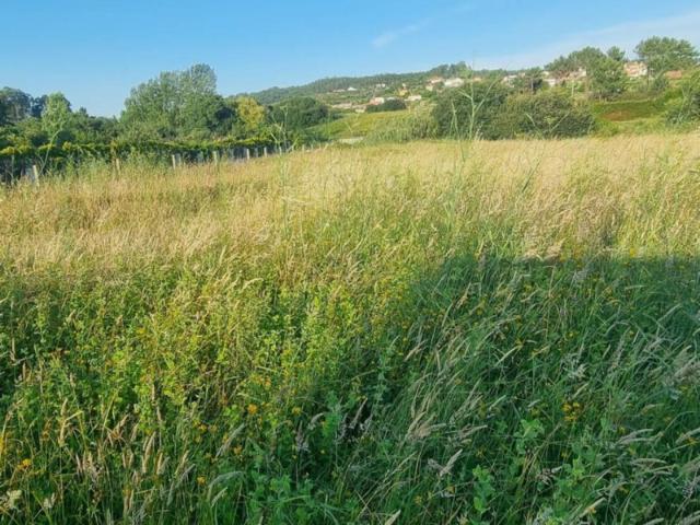 Terreno en venta Sanxenxo