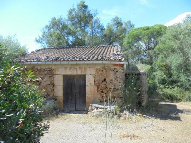 Terreno en venta Sencelles