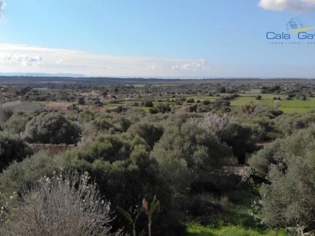 Terreno en venta Ses Salines