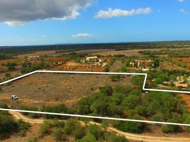 Terreno en venta Ses Salines