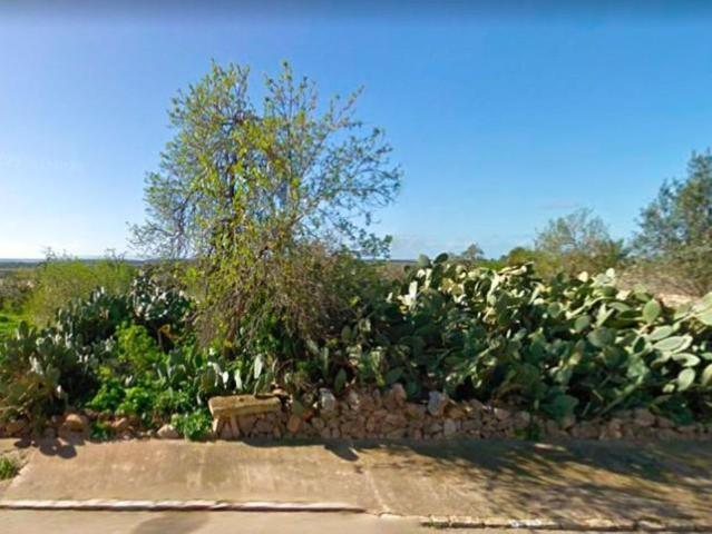 Terreno en venta Ses Salines