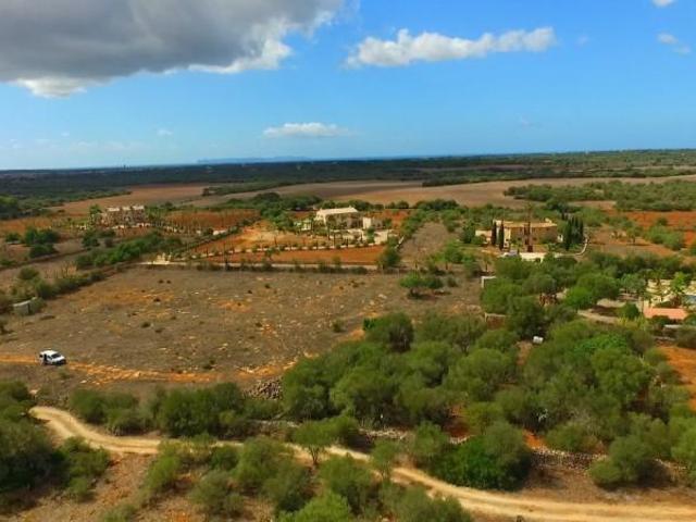 Terreno en venta Ses Salines