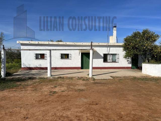Terreno en venta Sevilla