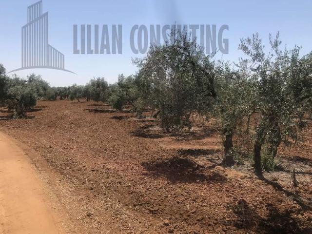 Terreno en venta Sevilla