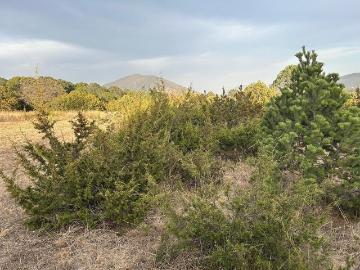 Terreno en venta sierra hermosa