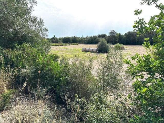 Terreno en venta Sineu