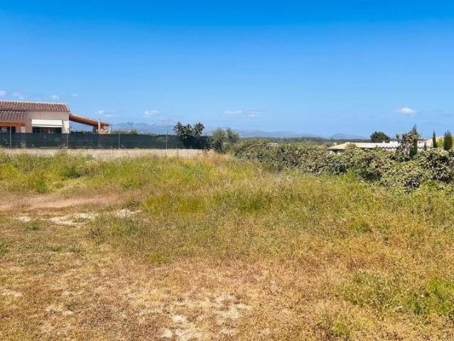 Terreno en venta Sineu